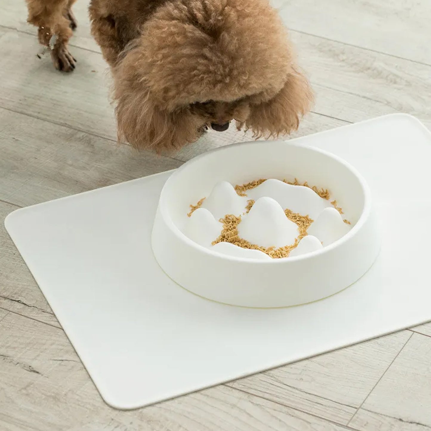 Pet Slow Food Bowl